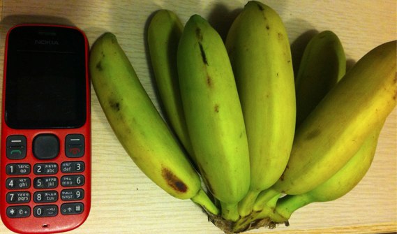 台湾品種のバナナ
